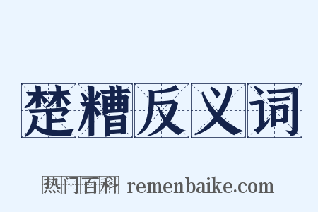 楚糟反义词是什么意思的图片